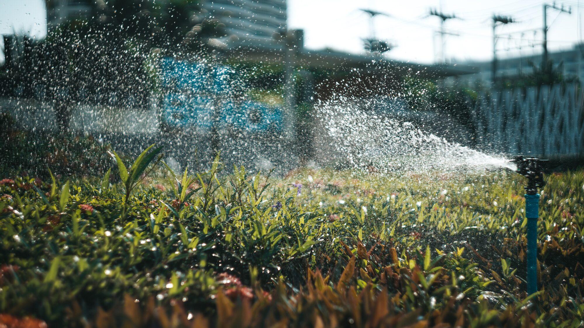 Commercial Sprinkler Repair