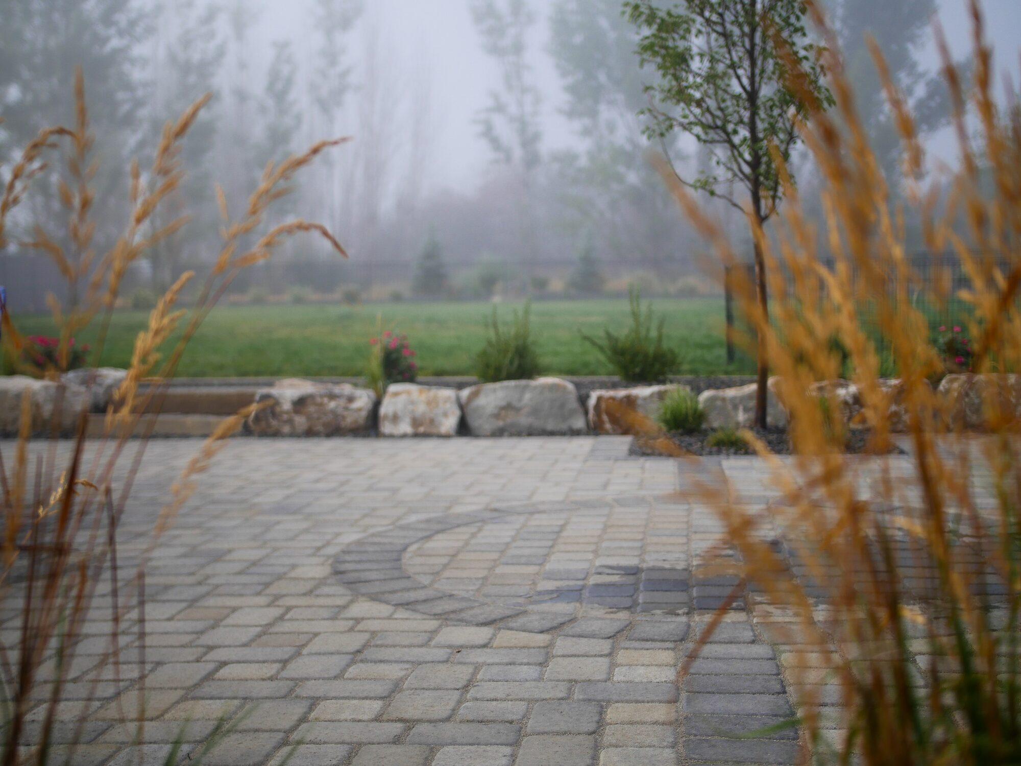 Grasses in front of a patio
