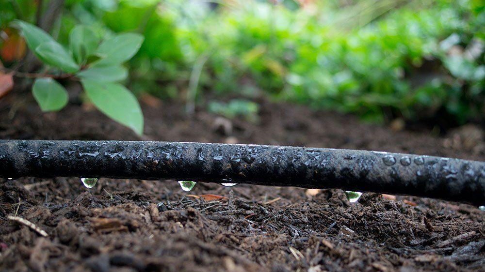 Residential Drip Irrigation Services