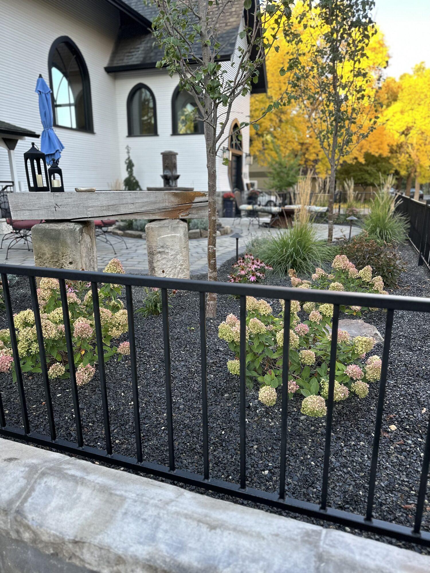 Trees and Shrubs