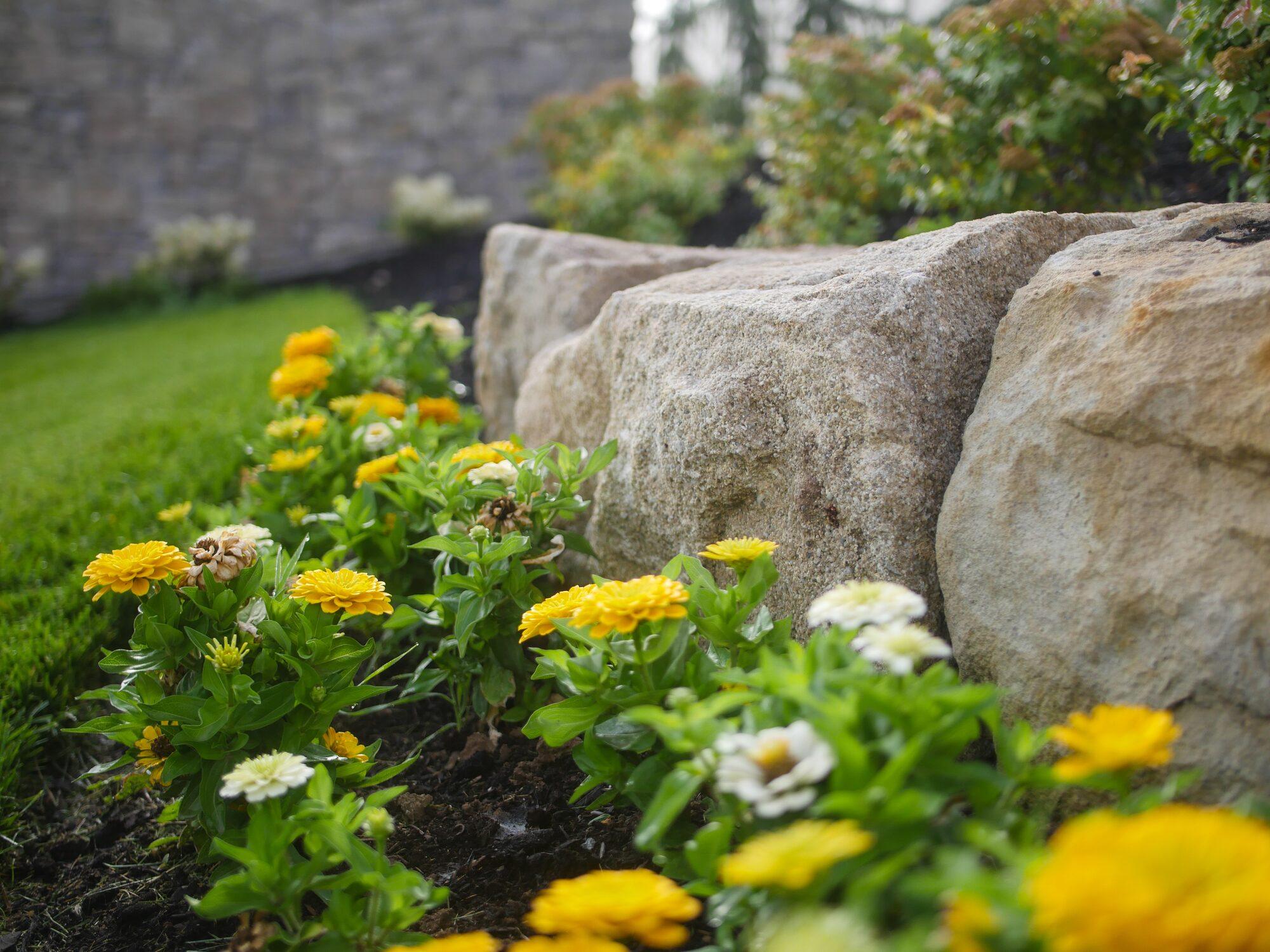 Superior Softscape Services