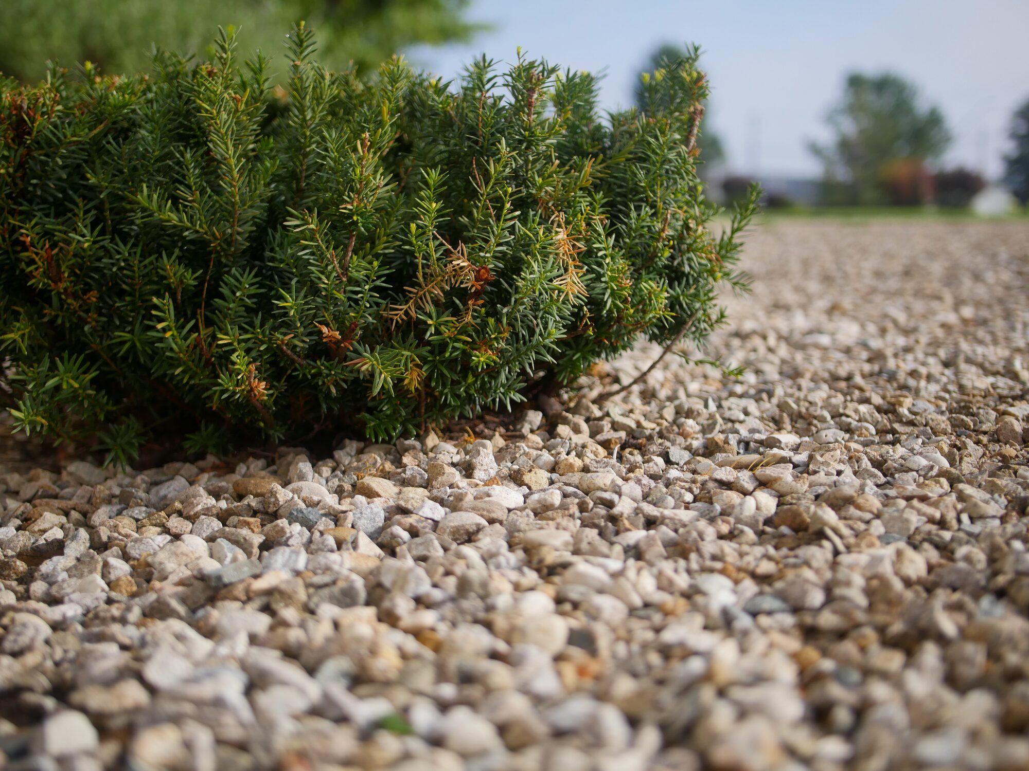 Mulch, Bark, and Rock
