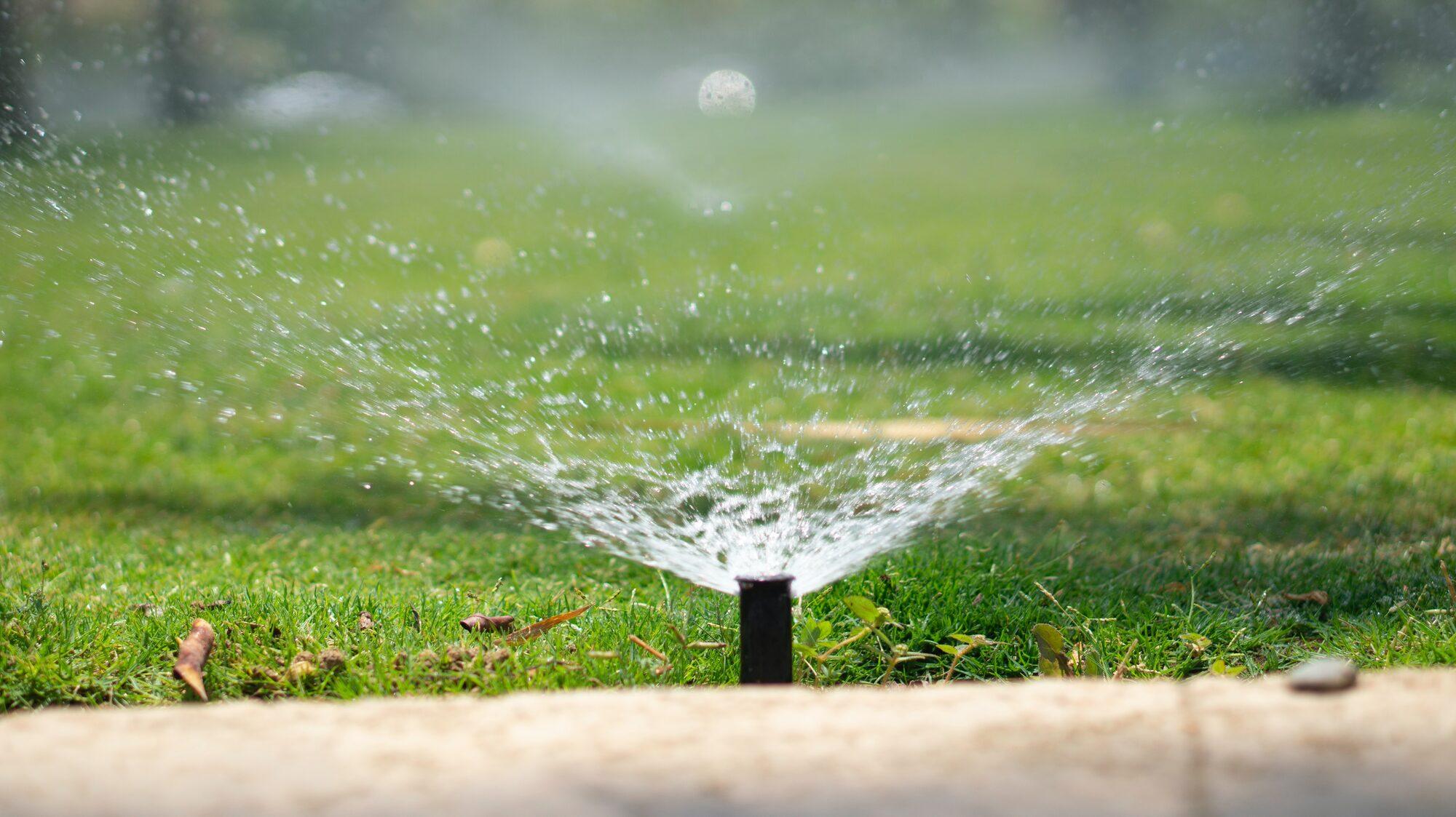 Commercial Sprinkler Installs